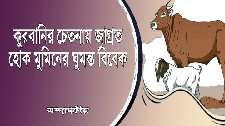 কুরবানির চেতনায় জাগ্রত হোক মুমিনের ঘুমন্ত বিবেক