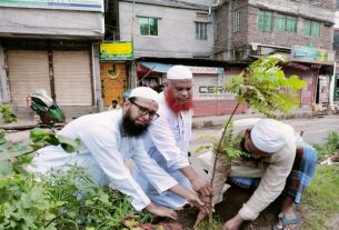 ইসলামী যুব আন্দোলনের বৃক্ষরোপণ কর্মসূচী পালিত