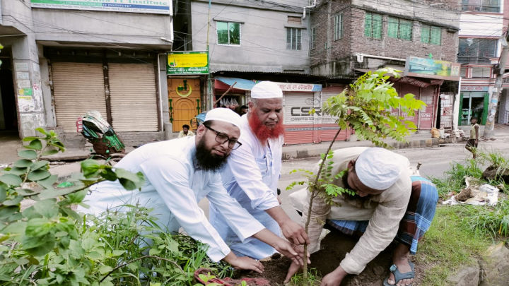 ইসলামী যুব আন্দোলনের বৃক্ষরোপণ কর্মসূচী পালিত