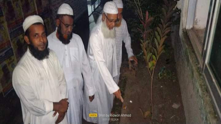 ইসলামী যুব আন্দোলন ডেমরা থানার বৃক্ষরোপণ কর্মসূচী পালিত