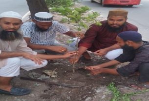 পল্টনে ইসলামী যুব আন্দোলনের বৃক্ষরোপণ কর্মসূচী পালিত