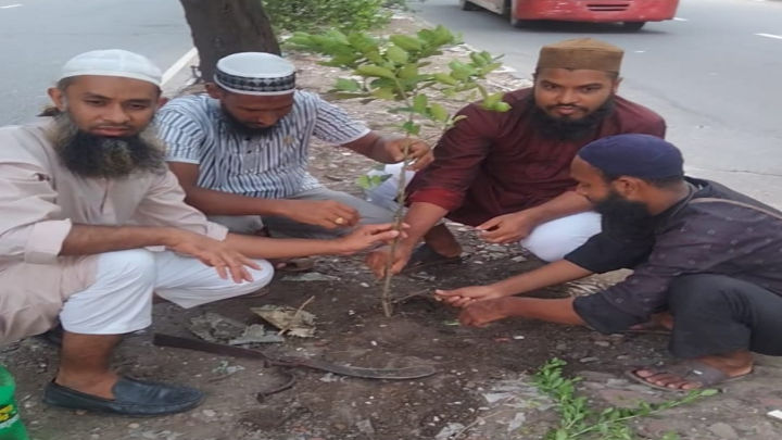 পল্টনে ইসলামী যুব আন্দোলনের বৃক্ষরোপণ কর্মসূচী পালিত