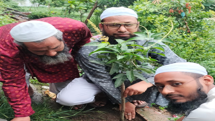 সূত্রাপুরে ইসলামী যুব আন্দোলনের বৃক্ষ রোপণ কর্মসূচি উদ্বোধন