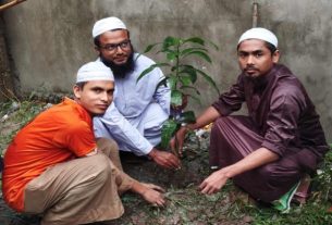 লালবাগে ইসলামী যুব আন্দোলনের বৃক্ষ রোপণ কর্মসূচি উদ্বোধন