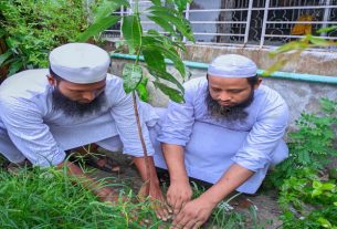 কামরাঙ্গীরচরে ইসলামী যুব আন্দোলনের বৃক্ষ রোপণ কর্মসূচি উদ্বোধন